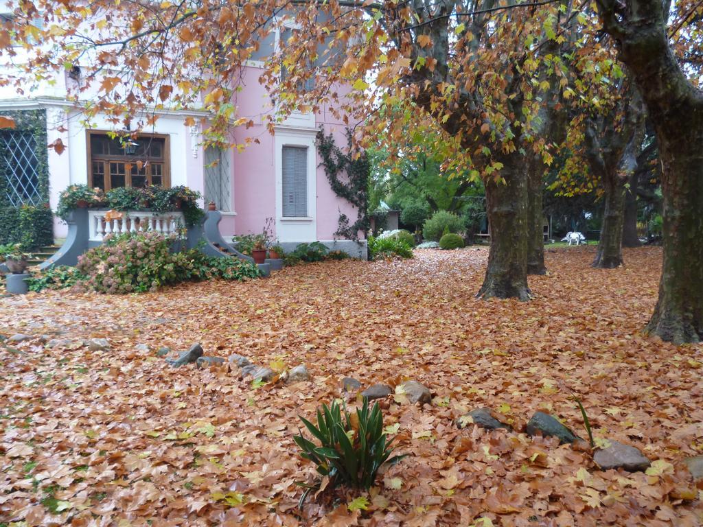 Hotel Alihuen Сьерра-де-ла-Вентана Экстерьер фото